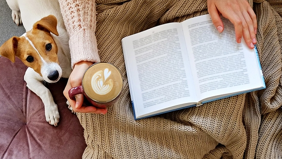 Bookspot